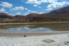 El Tatio Geyser Field - 68