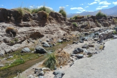 El Tatio Geyser Field - 78