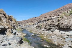 El Tatio Geyser Field - 80