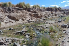 El Tatio Geyser Field - 81