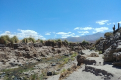 El Tatio Geyser Field - 83