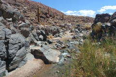 El Tatio Geyser Field - 85