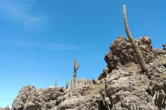 El Tatio Geyser Field - 86