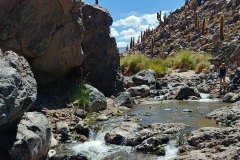 El Tatio Geyser Field - 88