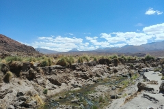 El Tatio Geyser Field - 93