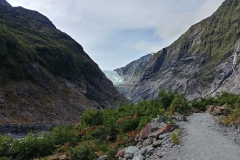 Franz Josef Glacier - 07