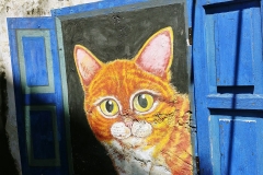 George Town - Street art - cat through a window