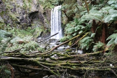 Great Otway National Park - Hopetoun Falls - 03