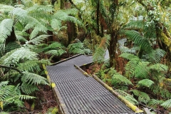 Great Otway National Park - Triplet Falls - 05