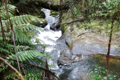 Great Otway National Park - Triplet Falls - 18