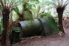 Great Otway National Park - Triplet Falls - 19 - Ancient steam engine for sawing mill