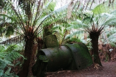 Great Otway National Park - Triplet Falls - 19b - Ancient steam engine for sawing mill