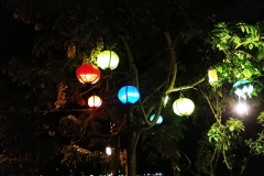 Hoi An by night - lanterns in a tree