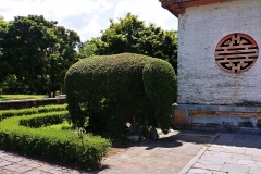 Hue - elephant