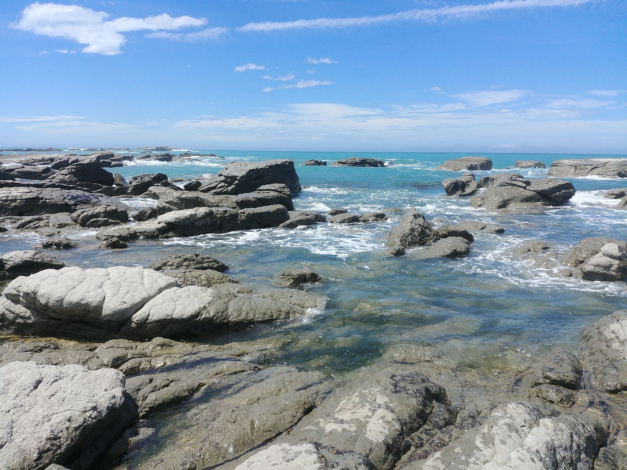 Kaikoura 25