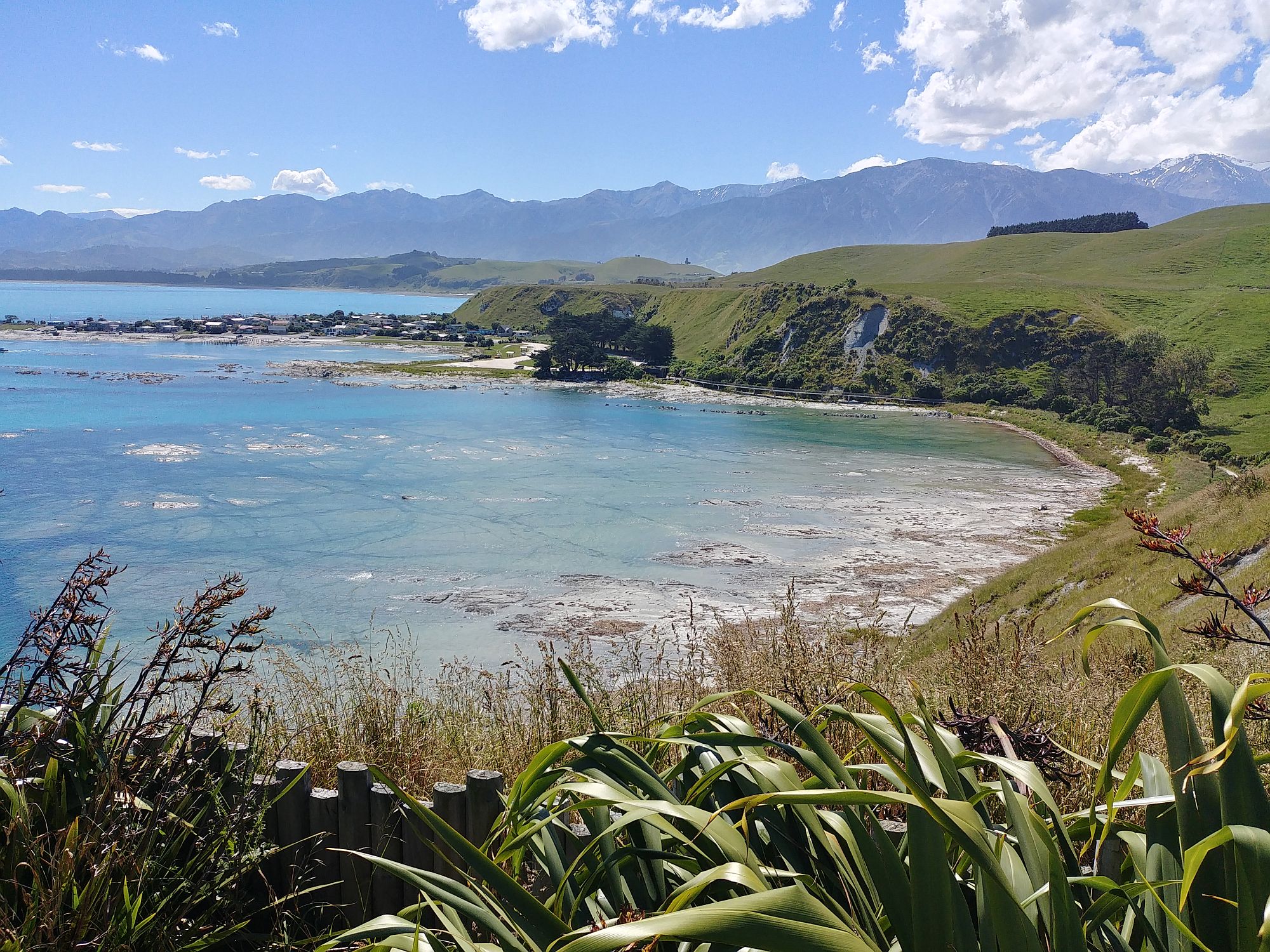 Kaikoura 49