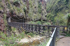 Karangahake Gorge - 12 - Bridge