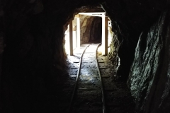 Karangahake Gorge - 17 - Tunnel