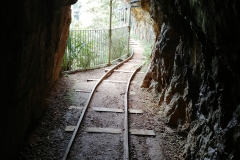 Karangahake Gorge - 20 - Tunnel