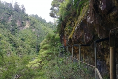 Karangahake Gorge - 21