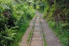 Karangahake Gorge - 22 - Rails