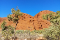 Kata Tjuta - 17