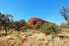 Kata Tjuta - 18