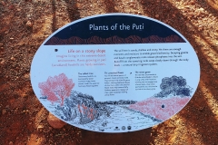 Uluru - Plants of the Puti