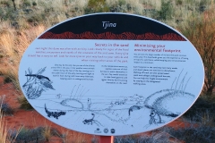 Uluru - Tjina - secrets in the sand
