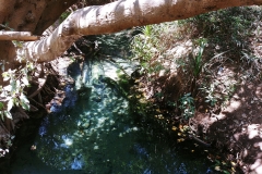 Katherine - Katherine river walking trail - Hot springs 03