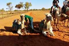 Camel Ride - 01