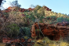 Kings Canyon - 21