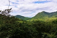 Kuang Si Waterfall - view over the jungle
