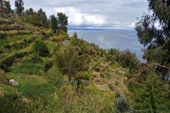 Lake Titicaca - 07