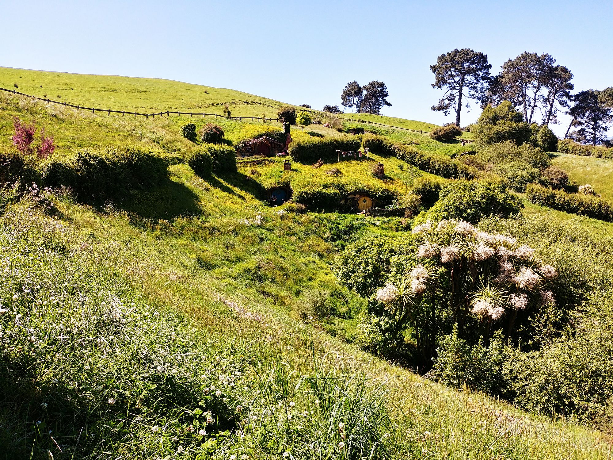 Hobbiton - 26