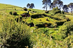 Hobbiton - 27