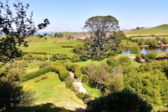 Hobbiton - 36