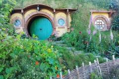 Hobbiton - 43