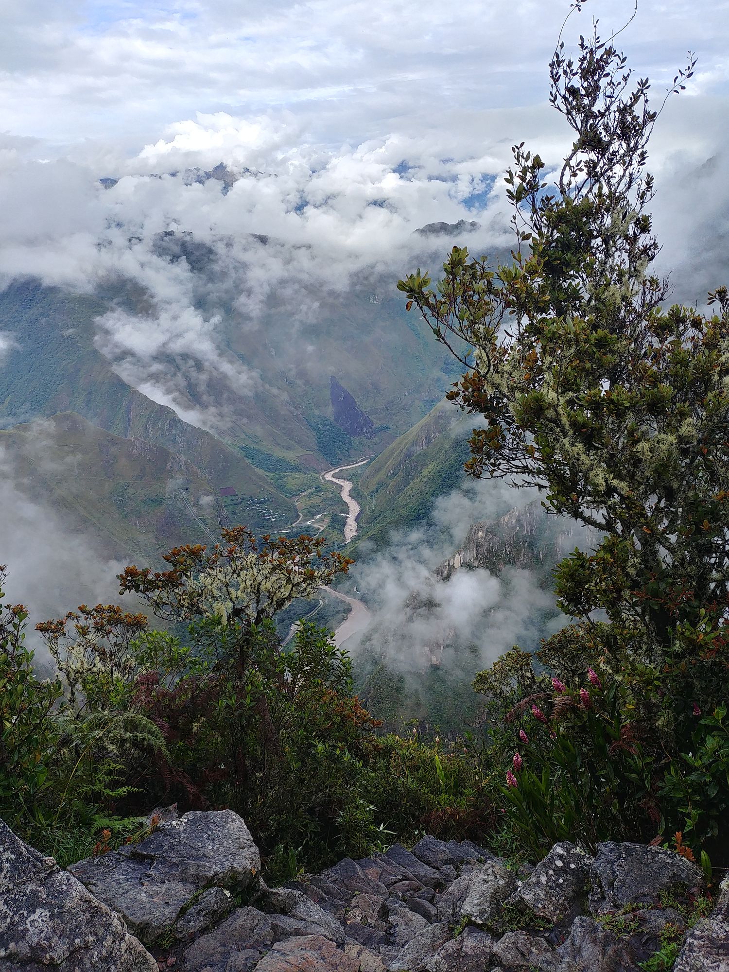 Machu Picchu 19
