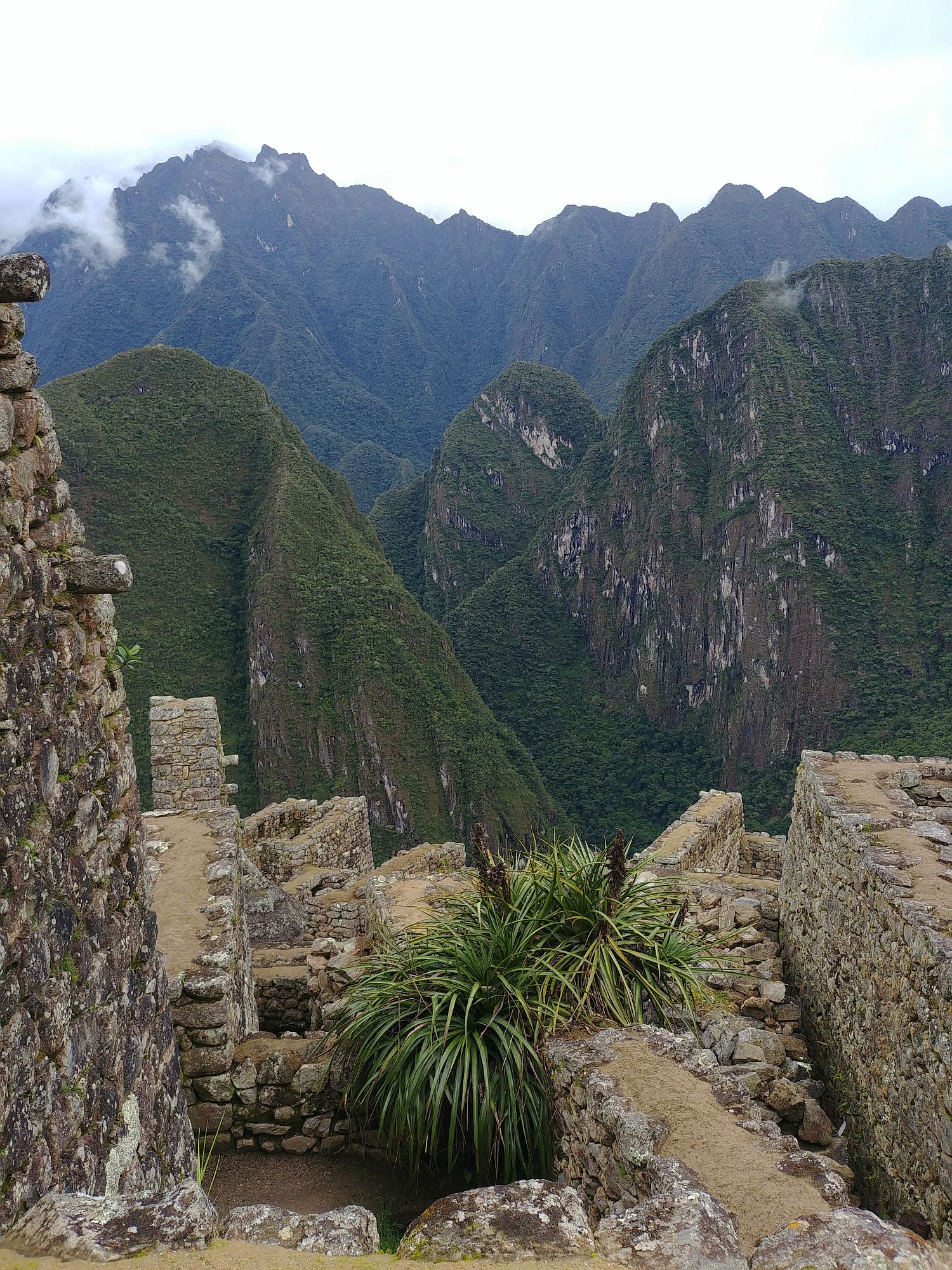 Machu Picchu 81
