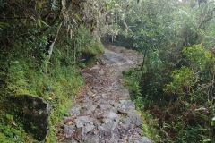 Machu Picchu 12