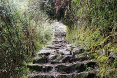 Machu Picchu 35