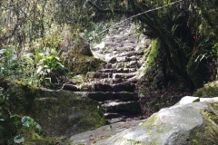 Machu Picchu 37