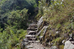 Machu Picchu 39