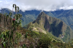 Machu Picchu 48