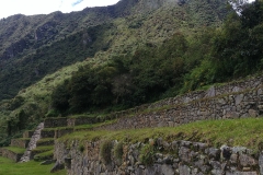 Machu Picchu 49 - Mountain