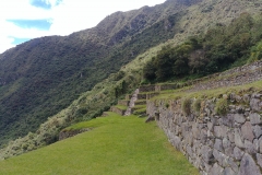 Machu Picchu 50 - Terrace