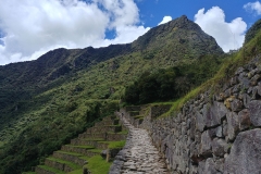 Machu Picchu 52 - Yep I climbed that