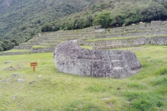 Machu Picchu 55 - Sacrificial stone