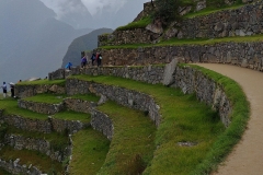 Machu Picchu 62